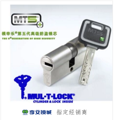 模帝樂(lè )MT5進(jìn)口鎖芯系列